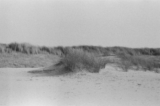 Sand dunes of The Hague